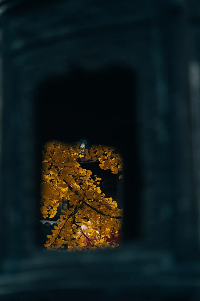 上海寺廟秋天攝影大賽,來交參賽作品了 上海寺廟秋天攝影大賽,來交參賽作品了