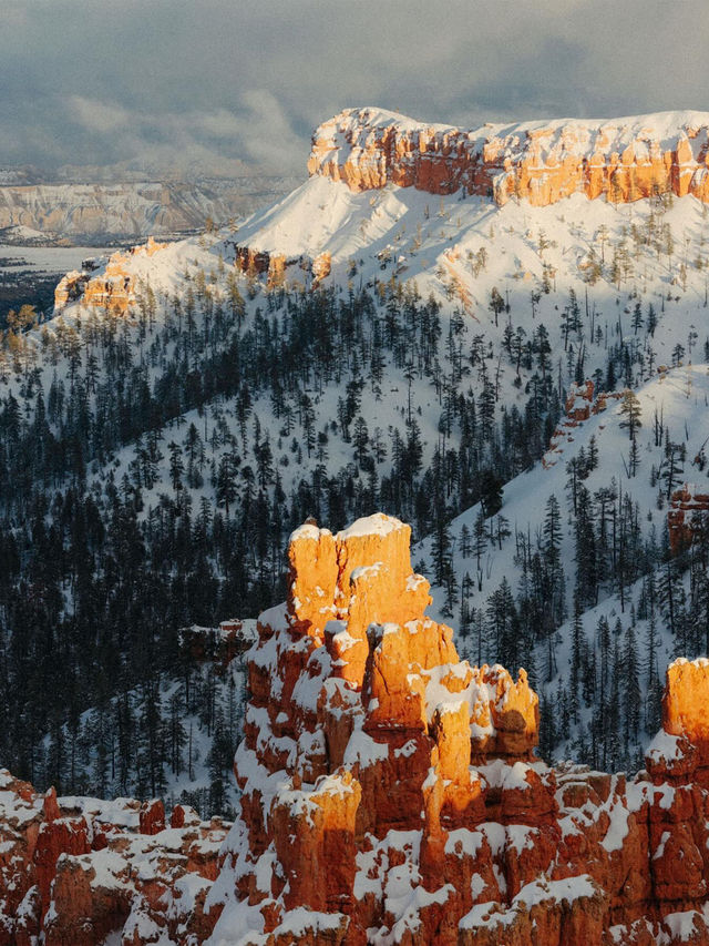 拉斯維加斯出發|訂製包車解鎖周邊自由行