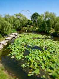 保定這座江南風公園是夏日避暑的仙境！