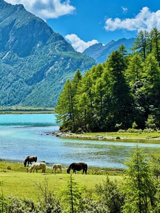 ทะเลสาบพระจันทร์ในมณฑลเสฉวนตะวันตก | ไม่มีคิวในช่วงวันหยุดวันแรงงาน ทิวทัศน์สวยงาม และเข้าชมฟรี!