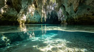 メキシコXcaretエコパーク完全ガイド