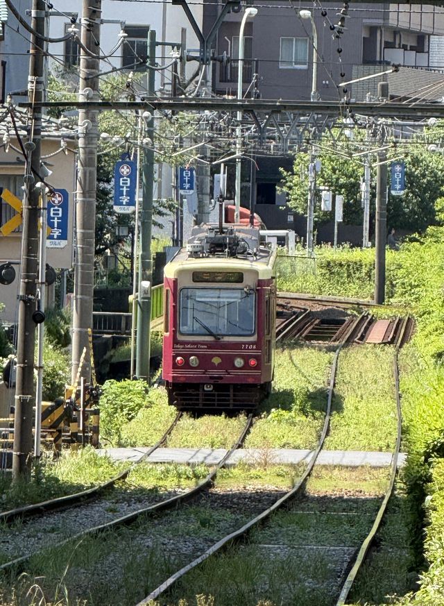 Travel Urayasu on budget with zero wasted expenses Travel Urayasu on budget with zero wasted expenses