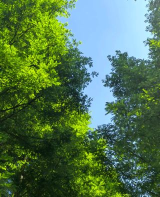 貴陽閱山湖公園｜城市湖畔的治癒鬆弛秘境