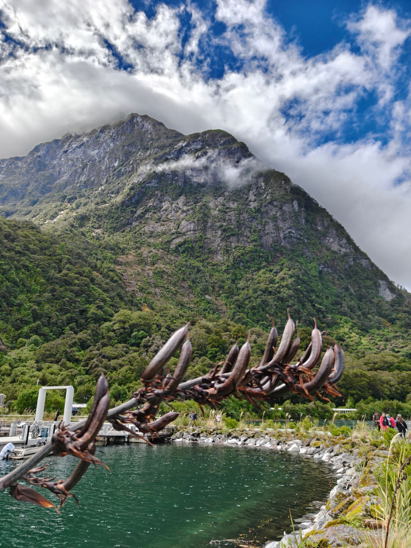 I really don't recommend buying tickets on-site for boat trips and marinas in Milford Sound, New Zealand.