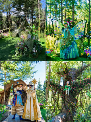 Summer getaway near Beijing hides a colorful forest fairy tale secret