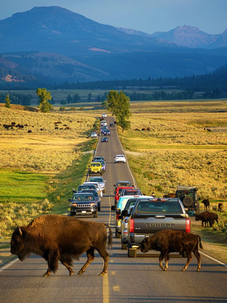 Super cheap Yellowstone trip in the off-season | Salt Lake City round-trip airport transfer + cabin