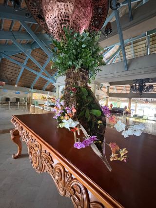 An Unforgettable Stay Filled with Love and Exceptional Service