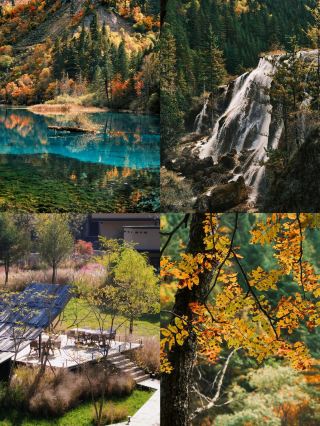 九寨溝の秋、必見の紅葉と湖の絶景に息をのむ