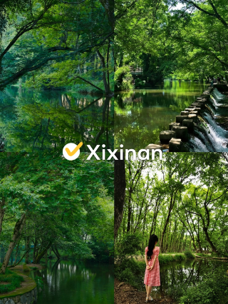 Xixinan | It's a pity if you don't visit Huizhou and miss this enchanted forest