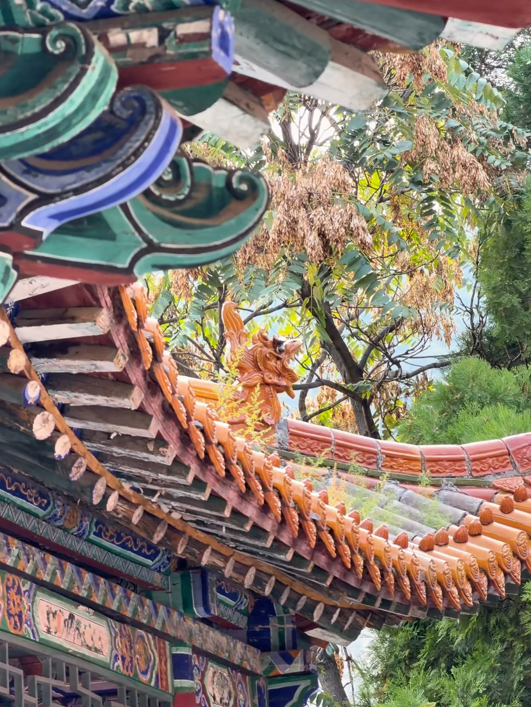 One-Day Family Trip to Changzhi Wonderland