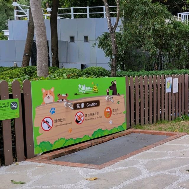 帶您妳你進入色彩繽紛的動物世界