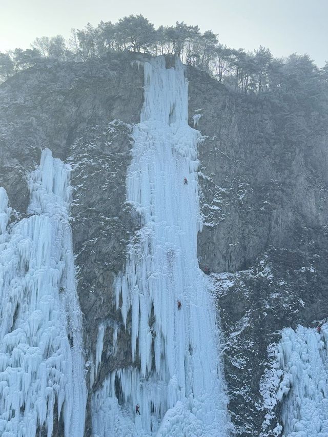 올 겨울이 끝나기 전 가봐야 하는 빙벽 카페, 스톤크릭❄️