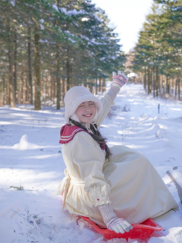 눈덮힌 겨울엔 가줘야지 대관령❄️