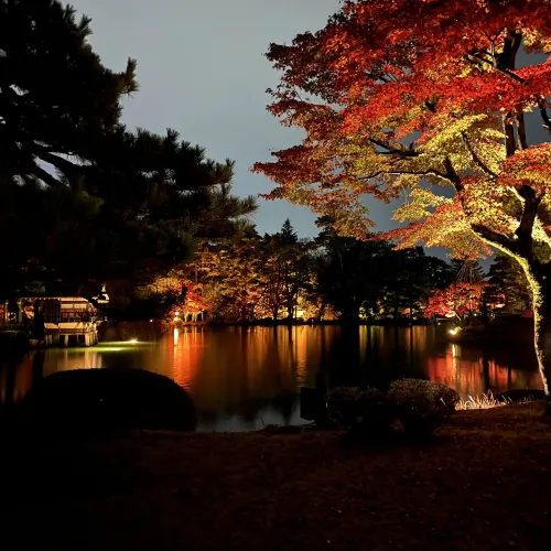 【石川】兼六園・玉泉院庭園のライトアップ✨