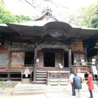 深大寺參拜之旅⛩🙏