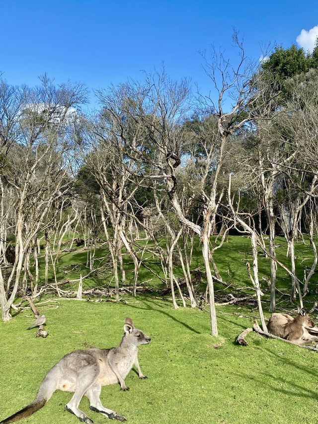 Get up close and personal with wildlife here!