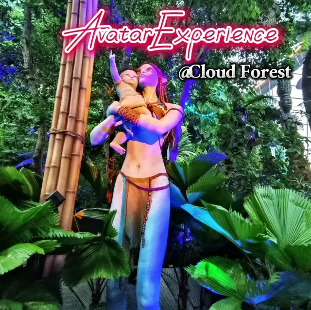 ความสวยงาม ใน Cloud Forest 