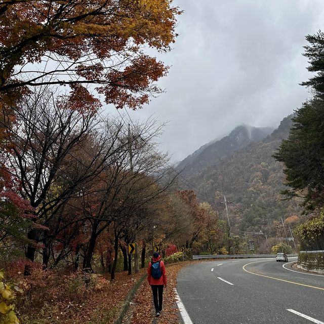 Lovely Autumn escape from busy Seoul !! 