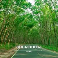 รวมจุดเช็คอิน สุราษฎร์ธานี 🐚🌳 