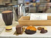 【 2023 屏東美食 】福爾摩莎可可農場 清水模 CACAO 巧克力 可可夢工廠