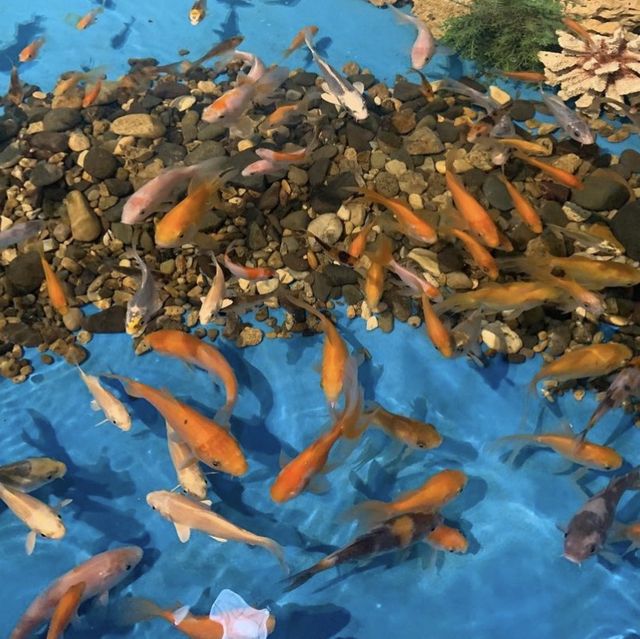 포항 대표 먹거리 ‘과메기’ 문화관