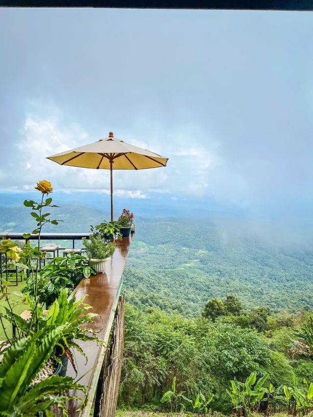 ยอดดอยม่อนแจ่ม coffee ⛰️☕️🪻🌿