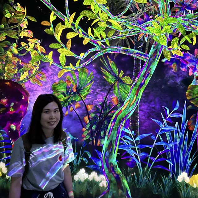 福岡 TeamLab 森林美術館 teamLab Forest Fukuoka - SBI SECURITIES Co., Ltd.