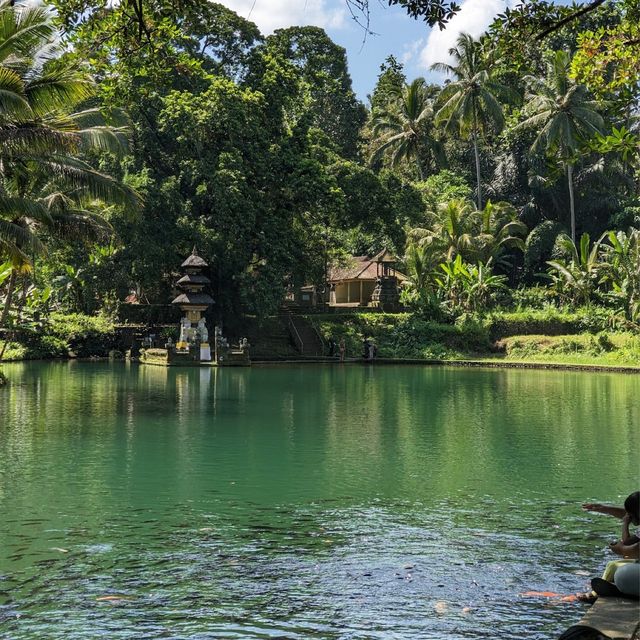 Taman Mumbul Sangeh