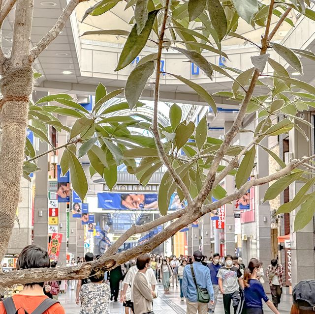 【仙台】駅近！仙台を代表するアーケード、ハピナ名掛丁