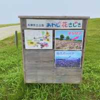 淡路島「あわじ花さじき」駐車場料金だけで入場できる花畑