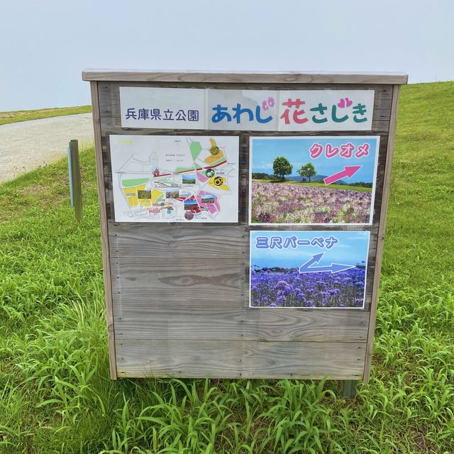 淡路島「あわじ花さじき」駐車場料金だけで入場できる花畑