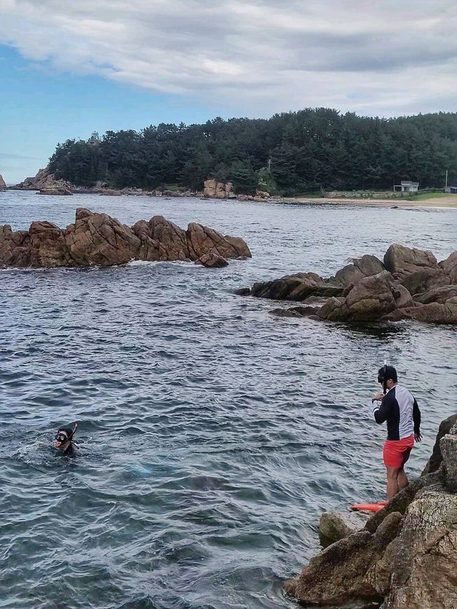 뷰도 즐기고 스노클링도 즐기는 하조대 전망대🌈