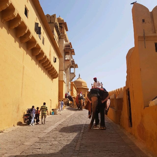 Amber Fort - Spectacular view