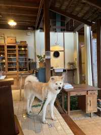 ไปเที่ยว Mori Natural Farm ที่เชียงใหม่กัน!🌳
