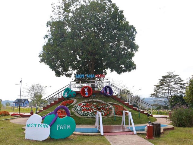 มอนทาน่า ฟาร์ม(Montana farm) 🌲🌲🌲