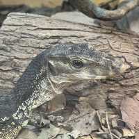 Visit the animals at Avilon Zoo
