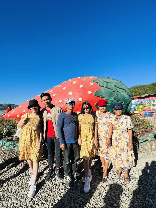 La Trinidad Strawberry Farm