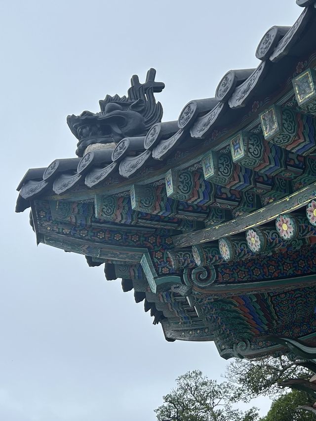 바다를 품은 아름다운 절, 여수 향일암🪷