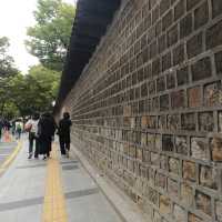 Amazing trip in Seoul🍁