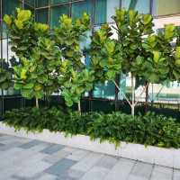 Interesting landscape at Menara Jland