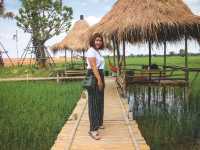 นาข้าว คาเฟ่