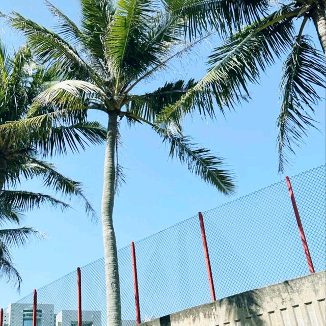 晴空萬里遊車河，在香港科技大學，看西貢美景，免吹風 ...