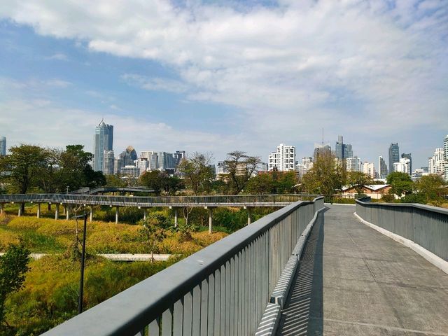 สวนป่าเบญจกิติ