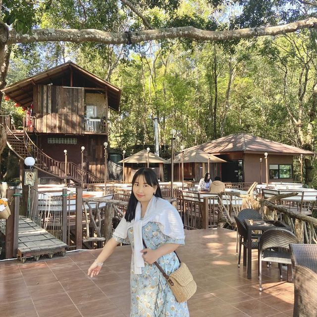 The Giant Chiangmai
