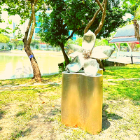 🌷ปอดของพร้อมพงษ์