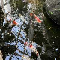 Nature in the park to fascinate yourself