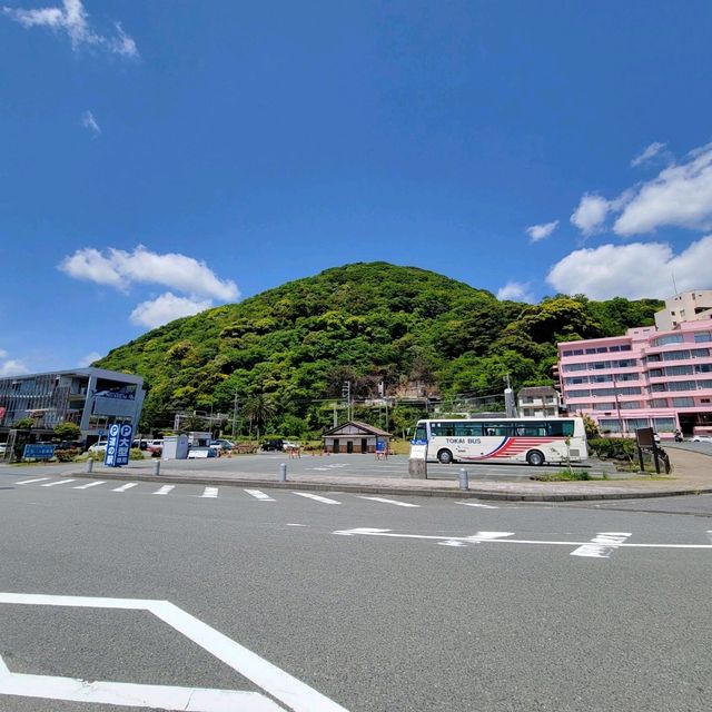【伊豆】黒船、山、海、海鮮丼！