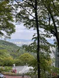 Place of Love at N Seoul Tower