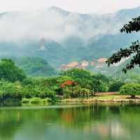 仙湖植物公園