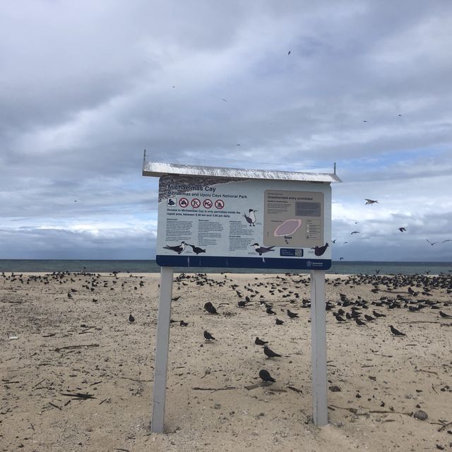 【ケアンズ🇦🇺】砂だけで出来た島"ミコマスケイ"